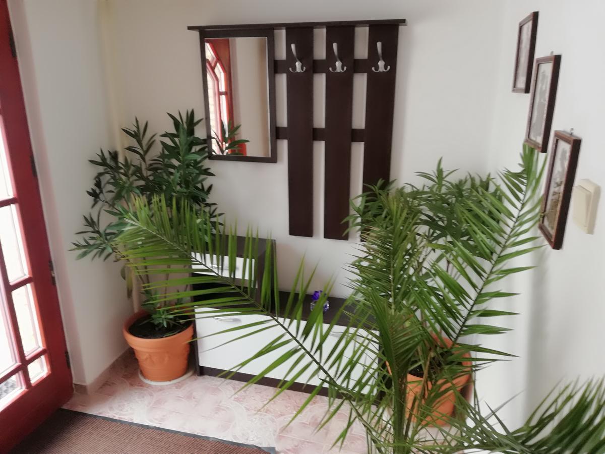 Domino Apartment Korytne Bagian luar foto